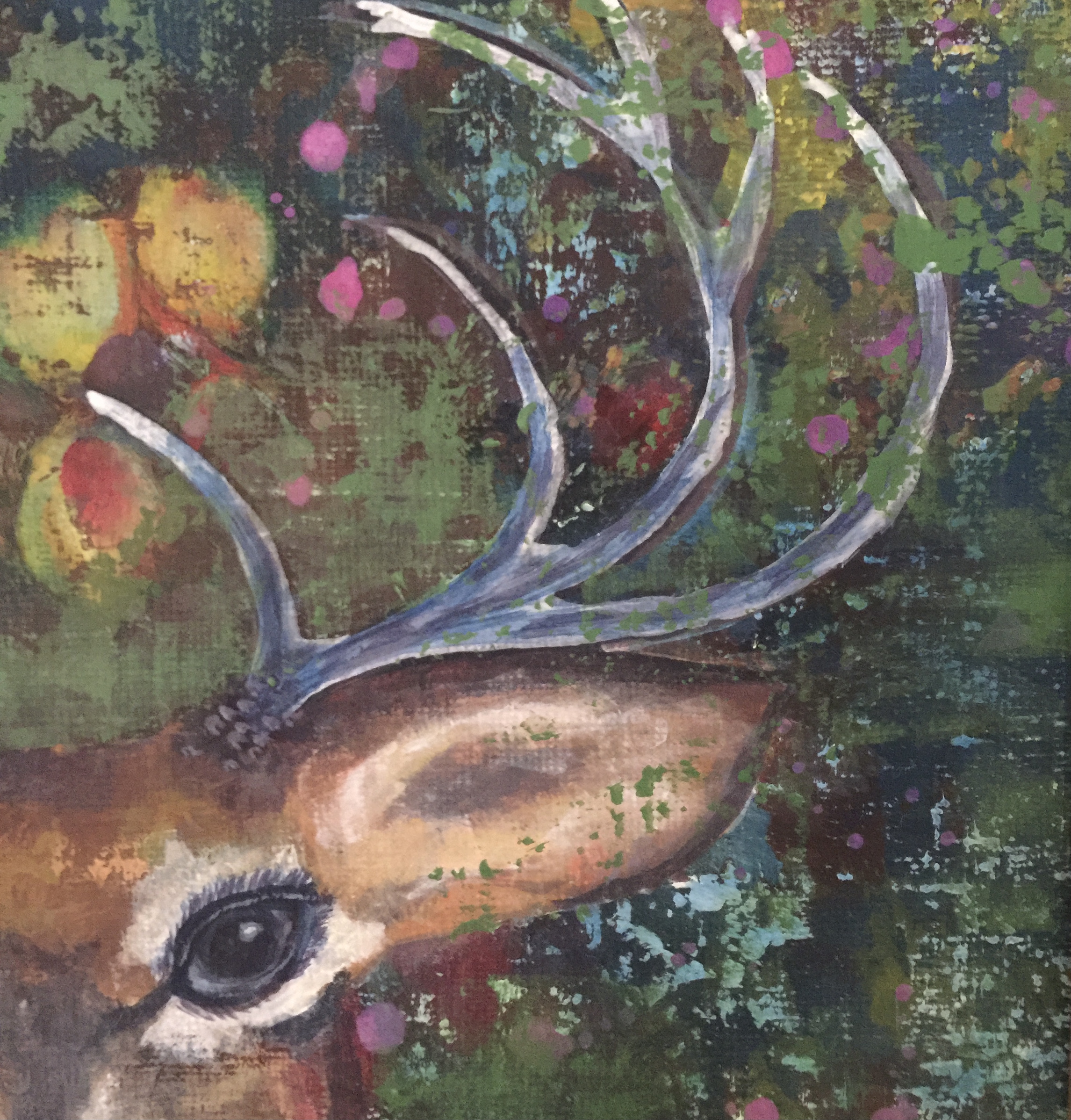 Du betrachtest gerade Kleiner Hirsch