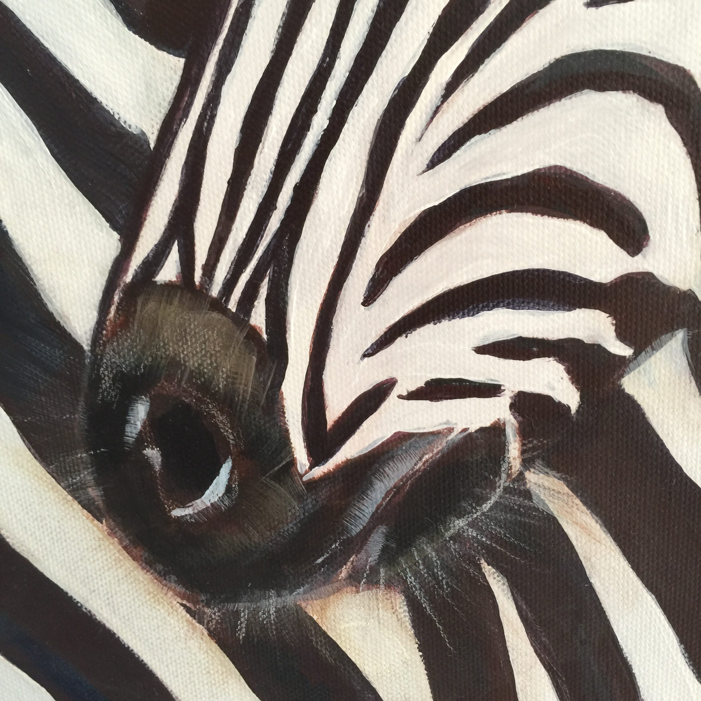 Du betrachtest gerade Zebra