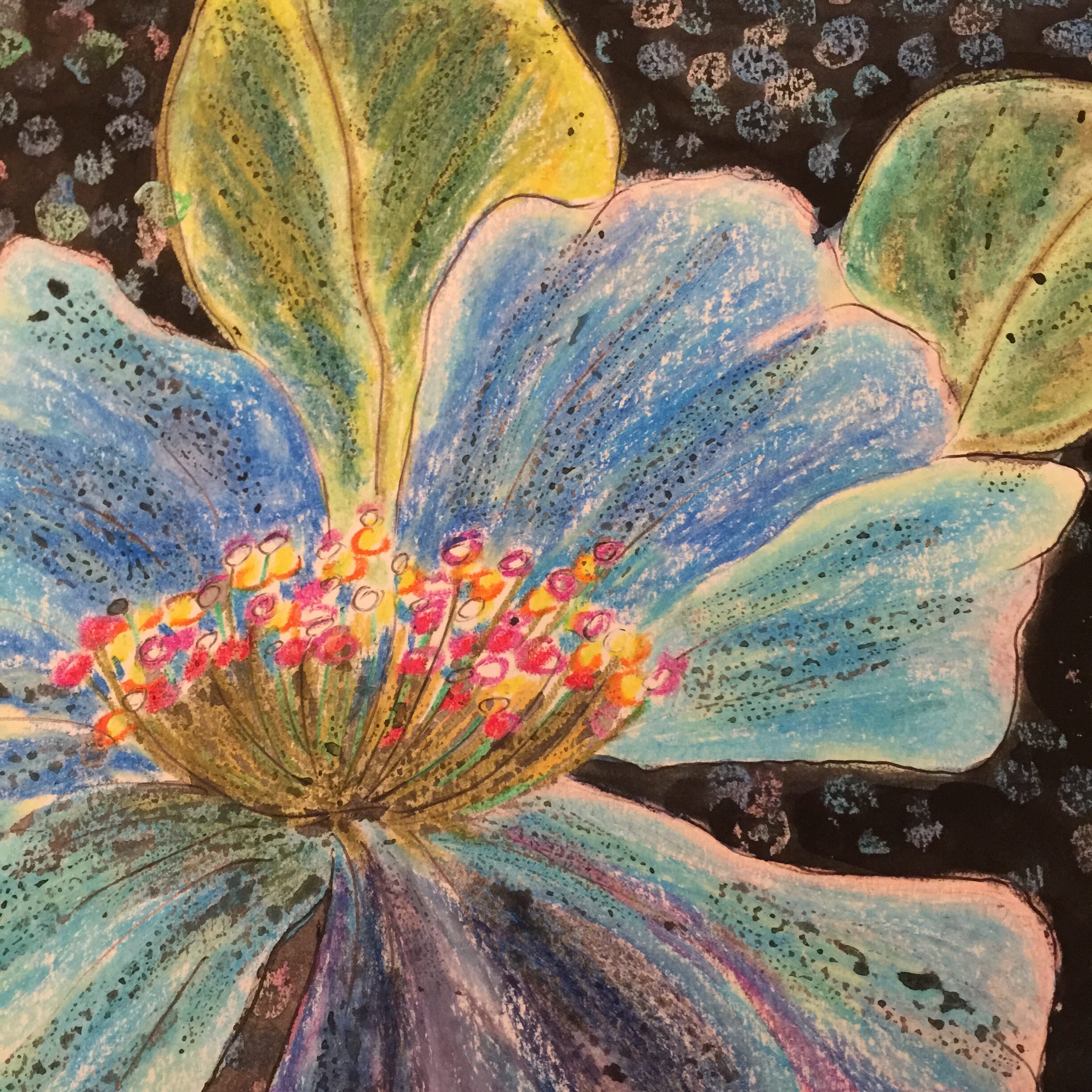 Du betrachtest gerade Crazy Mohn