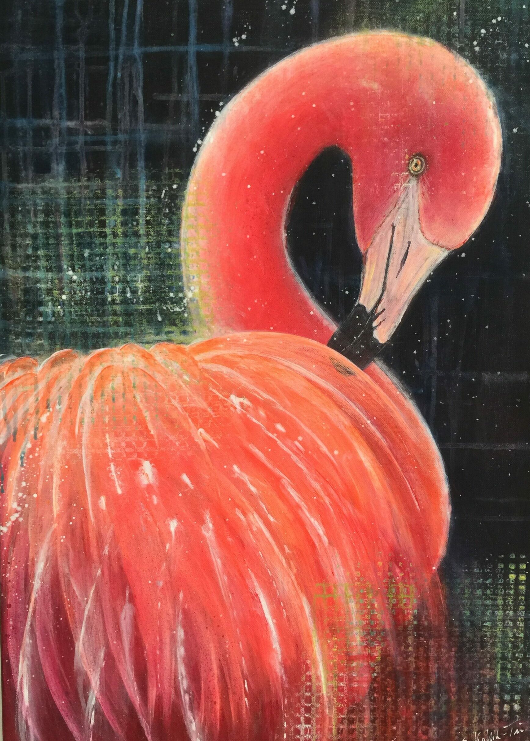 Du betrachtest gerade Flamingo