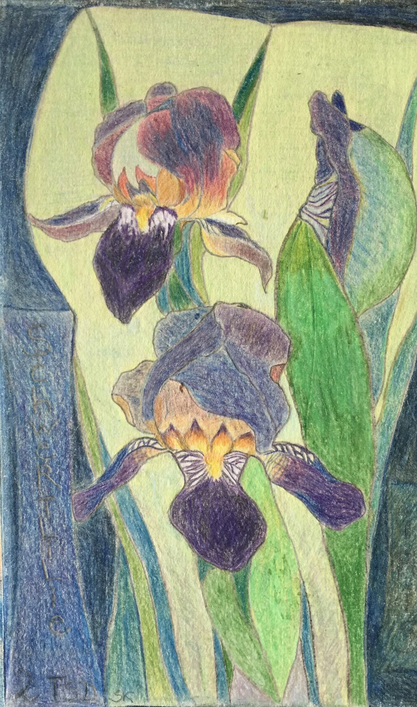 Du betrachtest gerade Schwertlilien