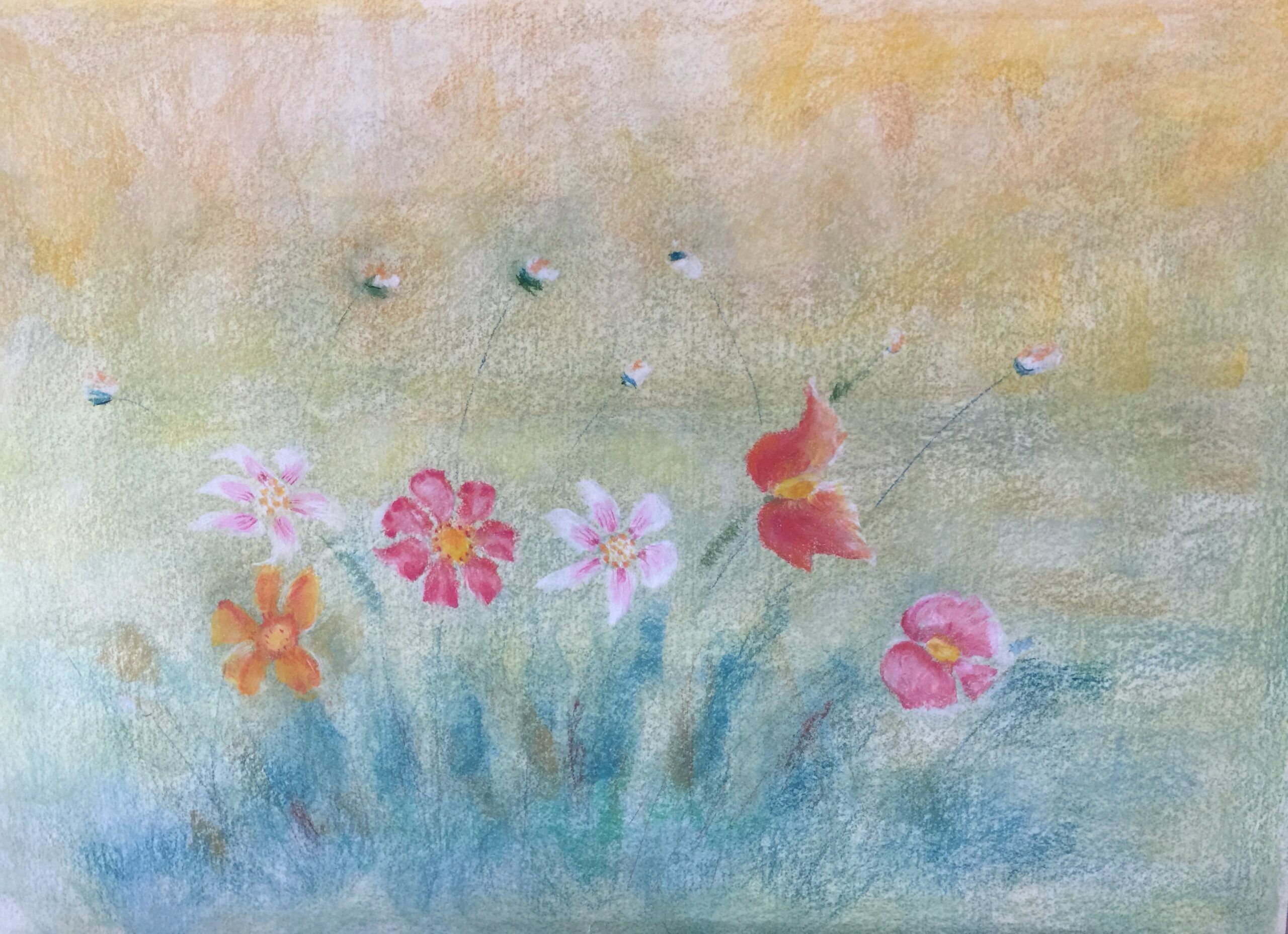 Du betrachtest gerade Rasenstück