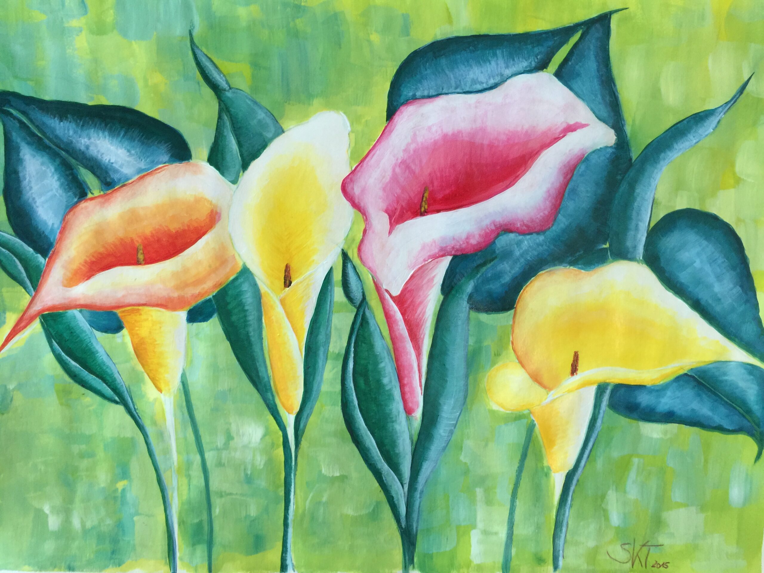 Du betrachtest gerade Calla & Co.