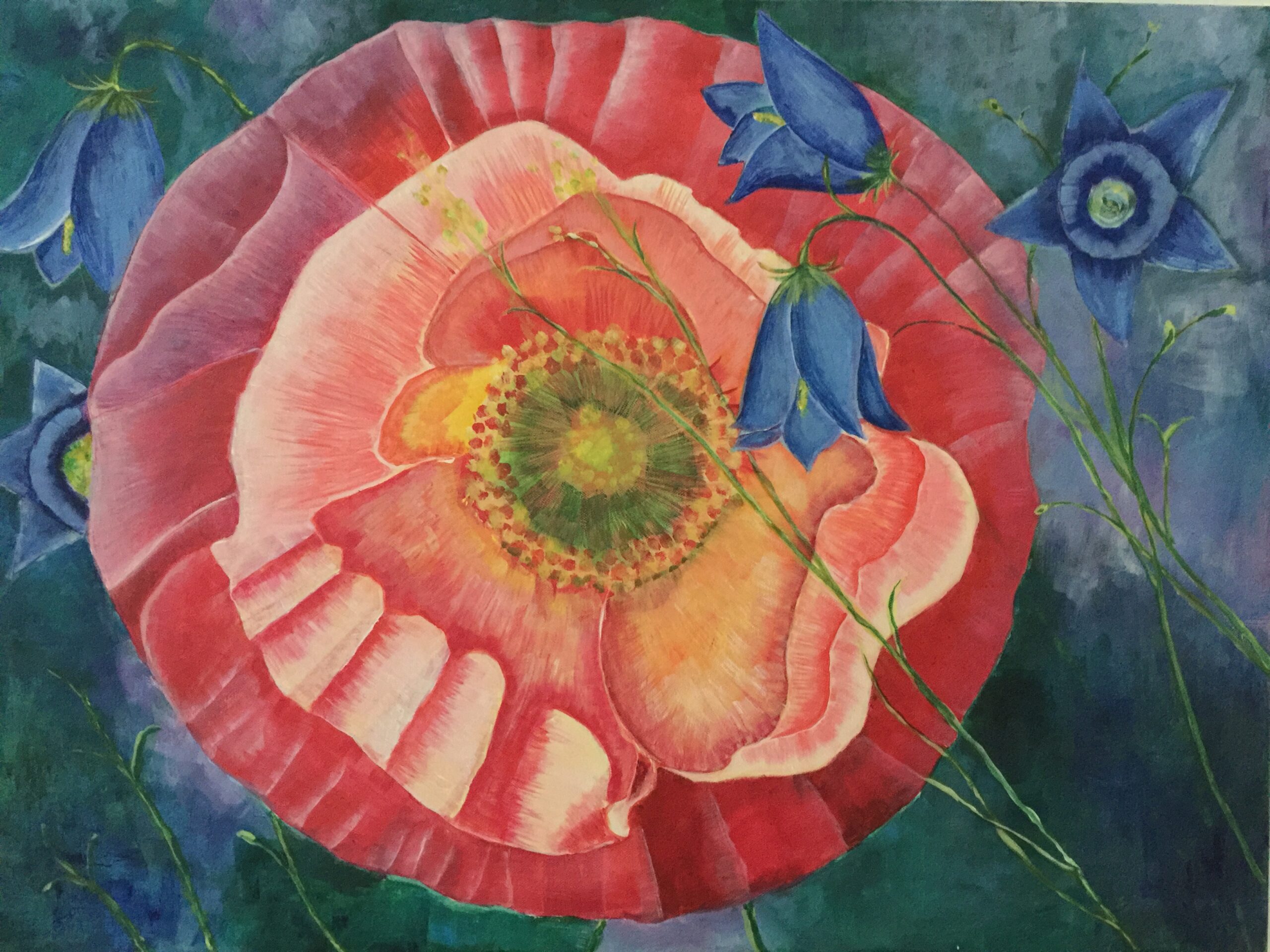 Du betrachtest gerade Mohn Nr. 2