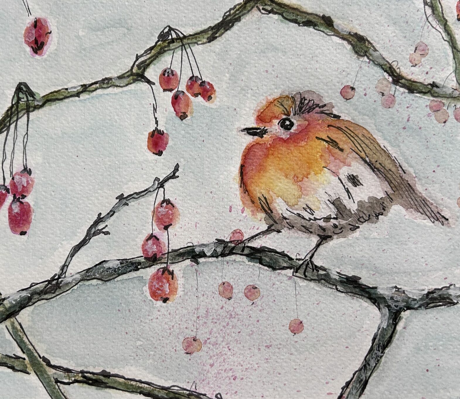 Du betrachtest gerade Robin