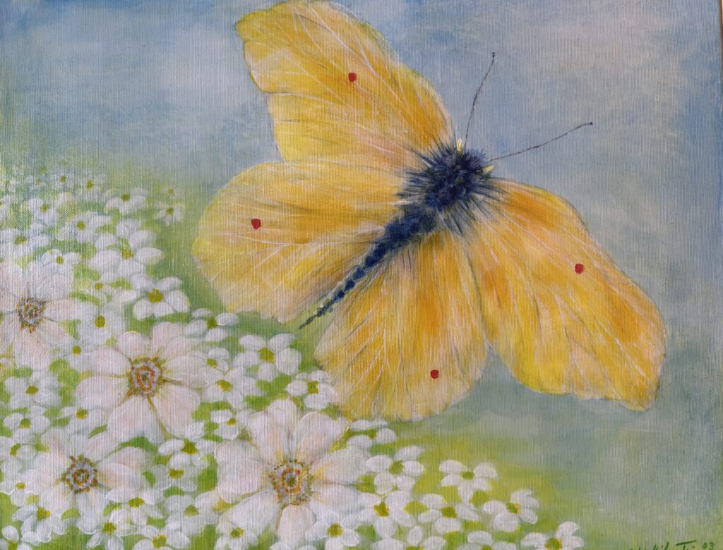 Butterfly Petra Acryl auf Leinwand Format 50 x 40