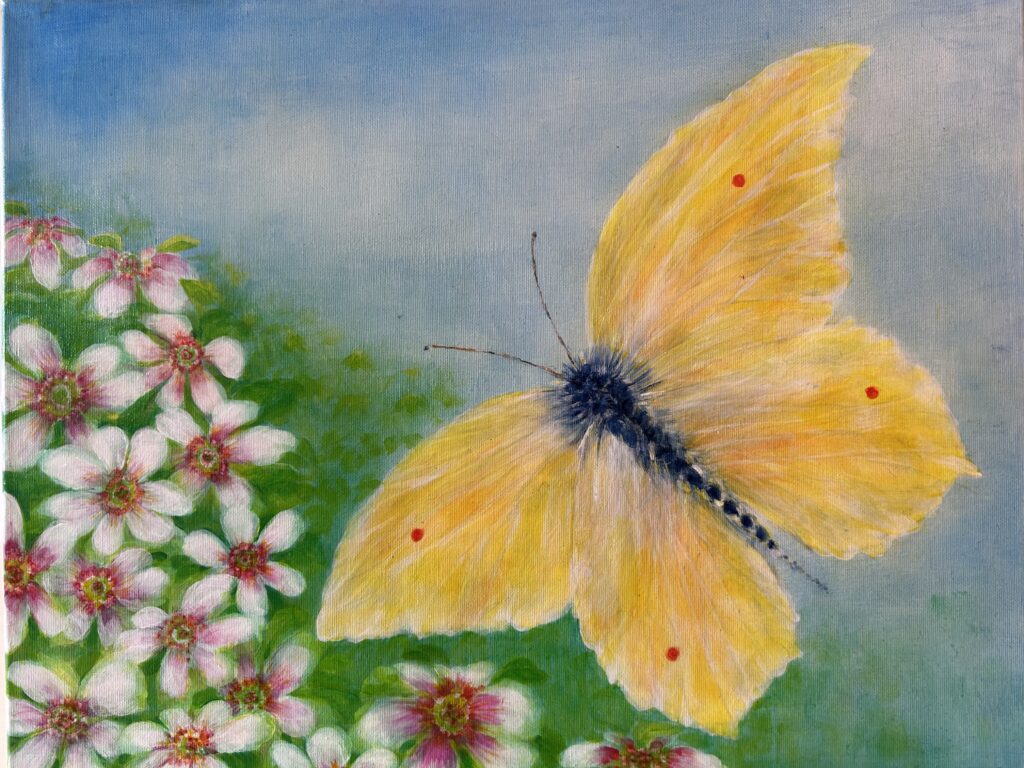 Butterfly Peter Acryl auf Leinwand Format 50 x 40
