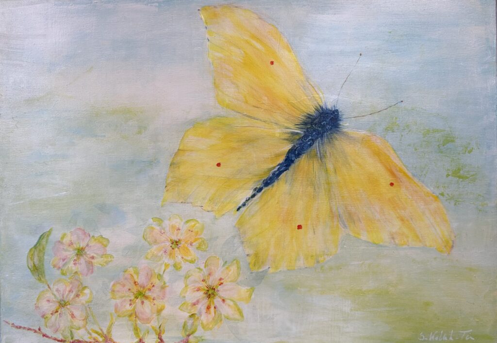 Franzi 
Schmetterling
Acryl auf Holzplatte 
Format 59 x 42